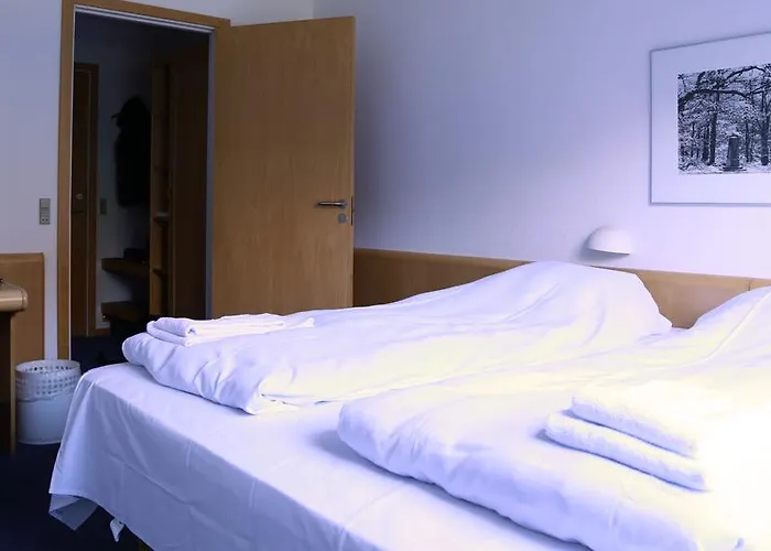 Skibelund Krat 3* Vejen